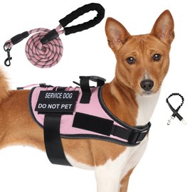 No Pull Dog Harness Small Medium Sized Dog, Service Dog Harness and Leash Set with 4 Patches, Adjustable Easy Walk Dogs Harnesses with Handle, Dogs Vest Harnesses French Bulldog, Chihuahua(Pink, M)
