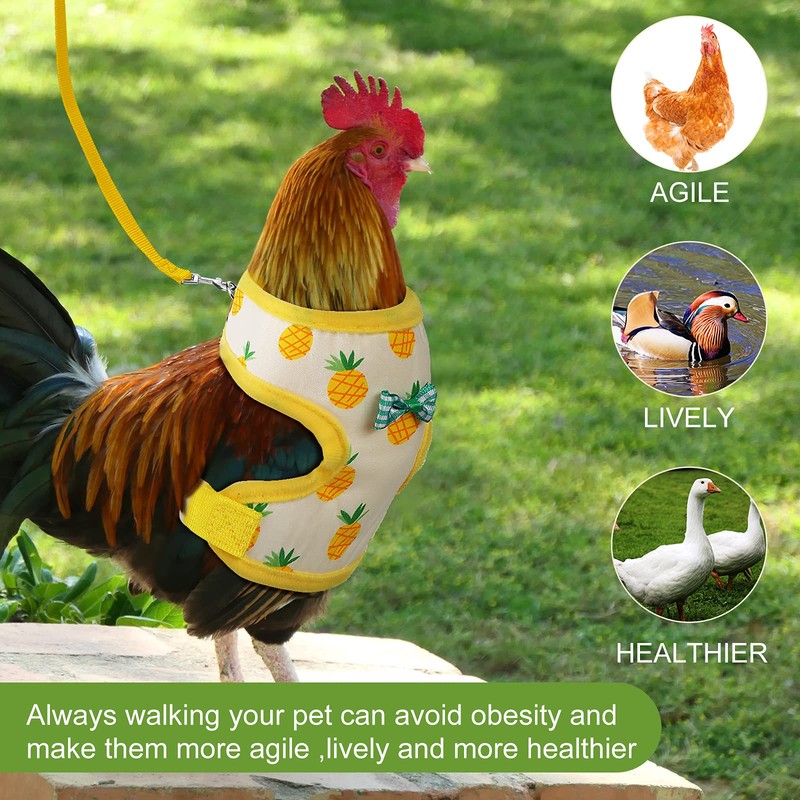 Frienda 2 Pcs Adjustable Chicken Harness and Leash Set Spring