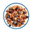 LOW CARB Keto Nut Granola, Blueberry Cinnamon, 22oz (642g)