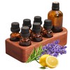 RoseFlower Ebony Essential Oil Holder Stand - 1 Large &