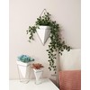 Umbra 470752-670 Trigg Hanging Vase and Geometric Wall Decor Container,