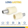 50-PACK GUOFIS CPVC Transition Coupling,1/2" Pex x 1/2" CPVC Barb