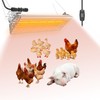 Chicken Coop Heater Chicken Heat Lamp, 200-400 Watt Two-Stage Temperature