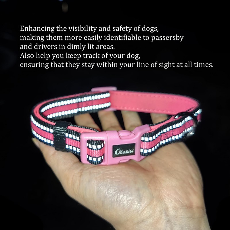 Olahibi Dog Collar and Leash Combo Set, Neoprene Padded, Polyester