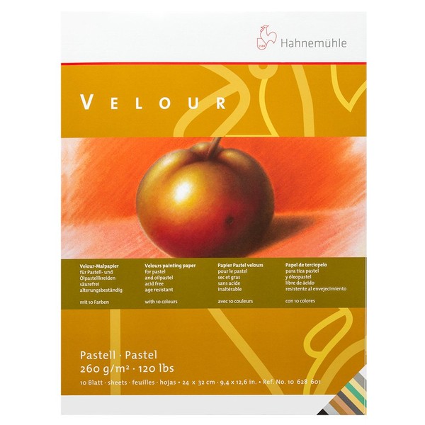Hahnemuhle Pastel 10 Color Velour Pad 9.25x12.5 Inches 260gsm 10 Sheets