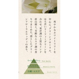 Nippon Kodo Flower Cones Pack of 30