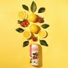 Seven Teas Lemonade Southern Strawberry 16 Fl Oz