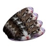Kittens - Kitty Cats Double-Sided Oval Nail File Emery Board