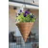Green Thumb 12" Inch Rope & Fern Cone Shaped Hanging