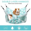 Pack of 2 Ferret Rat Hammock Guinea Pig Hanging Bed