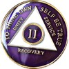 47 Year AA Medallion Metallic Purple Tri-Plate Sobriety Chip