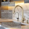 Westbrass D203-NL-20 6" Touch-Flo Style Pure Cold Water Dispenser Faucet,