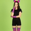 Cheshire Cat Costume, Pink and Purple Striped Top Cheshire Cat,