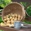 Westmark Spätzle/Potato Press Spätzlechef, 41 X 9.3 X 11 Cm,
