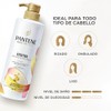 Pantene Shampoo sin sal' cabello seco Keratina con Pro Vitamina