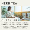 Tree of Life Delicious Herbal Tea Happy Celebration Tea Bags