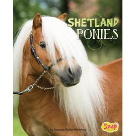 Shetland Ponies (Horse Breeds)