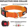 Fida Collar reflectante para perro, collares de nailon con colores