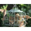 The Nuttery Oval Fatball Feeder