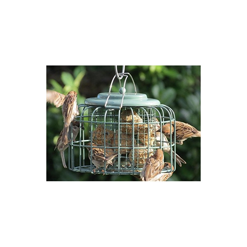 The Nuttery Oval Fatball Feeder