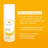 AESTHETICO Lipid Cream Advanced Hydrating and Barrier Strengthening Lipid Cream