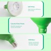 EDISHINE PAR38 Dimmable Green Flood Light Bulbs ChristmasDecor