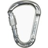 Climbing Technology Concept SG Carabiner, grey