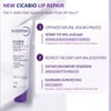 BioDerma Cicabio Lip Repair 10ml