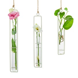 Sziqiqi Hanging Clear Glass Propagation Station Tube Vases for Cuttings, Buds, Greenery Hydroponic Plant Propagation Home Balcony Bath Wall Decoration Floral Container Set of 3 Ivory