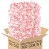 Mini Candy Canes Peppermint Flavor - Classic Red & White,