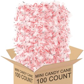 Mini Candy Canes Peppermint Flavor - Classic Red & White, Individually Wrapped (100 Count, Peppermint)