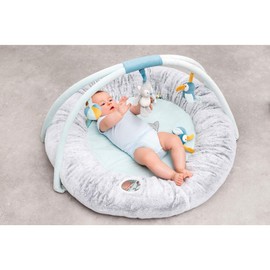 Nattou Tim and Tiloo Play Mat PlayGym with Arch for Security and Head Support 87 x 87 x 52 cm Blue/Grey