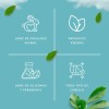 6 Pzs Shampoo Secreto Herbal Extracto De Sábila Crecimiento