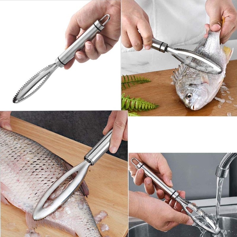 Fundament Fish Scaler 304 Stainless Steel Fish Scale Remover Kitchen