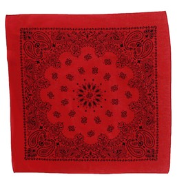 CTM® 27 Inch Austin Paisley Print Bandana, Red/Black