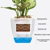 QUINTRA Self-Watering Lazy Flower Pot, Automatic Watering Flower Pot for