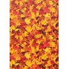 Fall Leaves Better Than Paper® Bulletin Board Roll