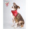 Athletic Club ATH_114 Pet Bandana, Red, One Size
