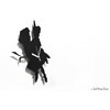 Peter Pan & Wendy Flying - Silhouette Wall Clock -