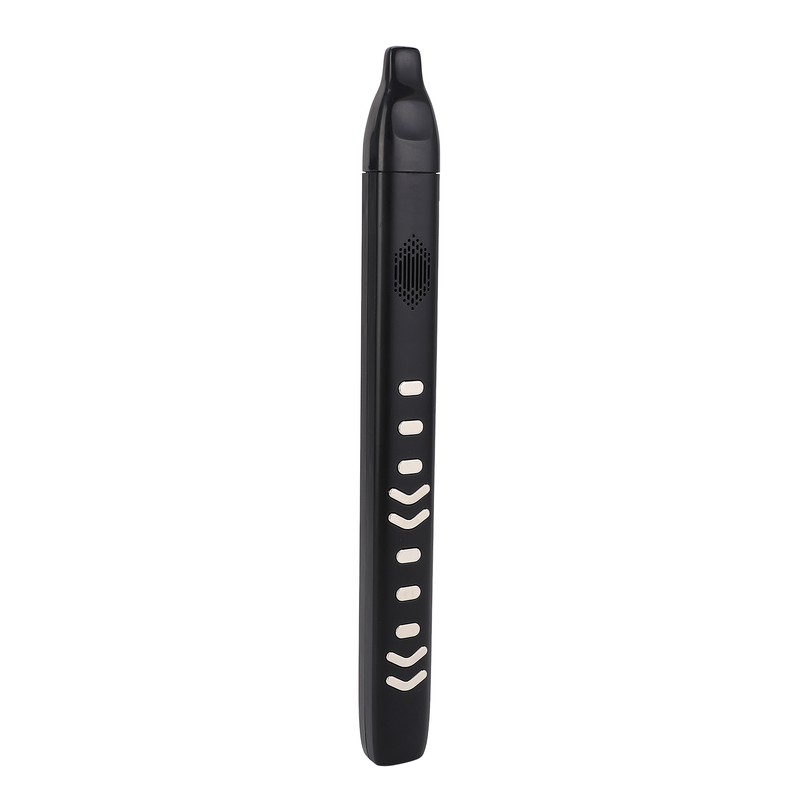Electric Blowpipe 10 Timbre Mini Portable Rechargeable Detachable Digital Wind