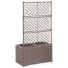 Casafoyer Trellis Raised Bed with 2 Pots 22.8"x11.8"x42.1" Poly Rattan