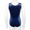 Java Special Velvet & Glitter Lycra Short Sleeve Gymnastics Leotard,