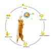 Windmill Spring Interactive Cat Catnip Toy Funny Cat Turntable Teasing