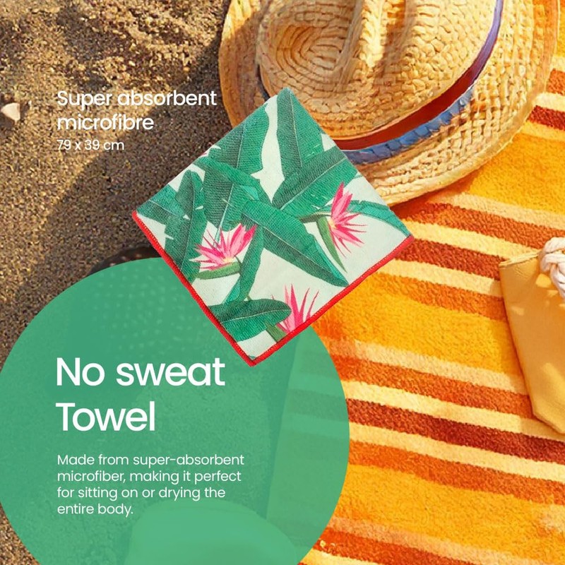 Vigar Beach Sand Remover Brush and Cloth Set, 29 cm