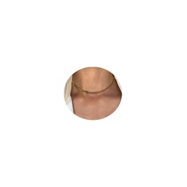 YANCHUN Gold Herringbone Choker Snake Chain Necklace Dainty Choker Necklace for Women C?5mm Snake Chain