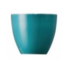 Rosenthal Thomas Sunny Day Eierbecher Turquoise [SP] UVP: 11,00 €"
