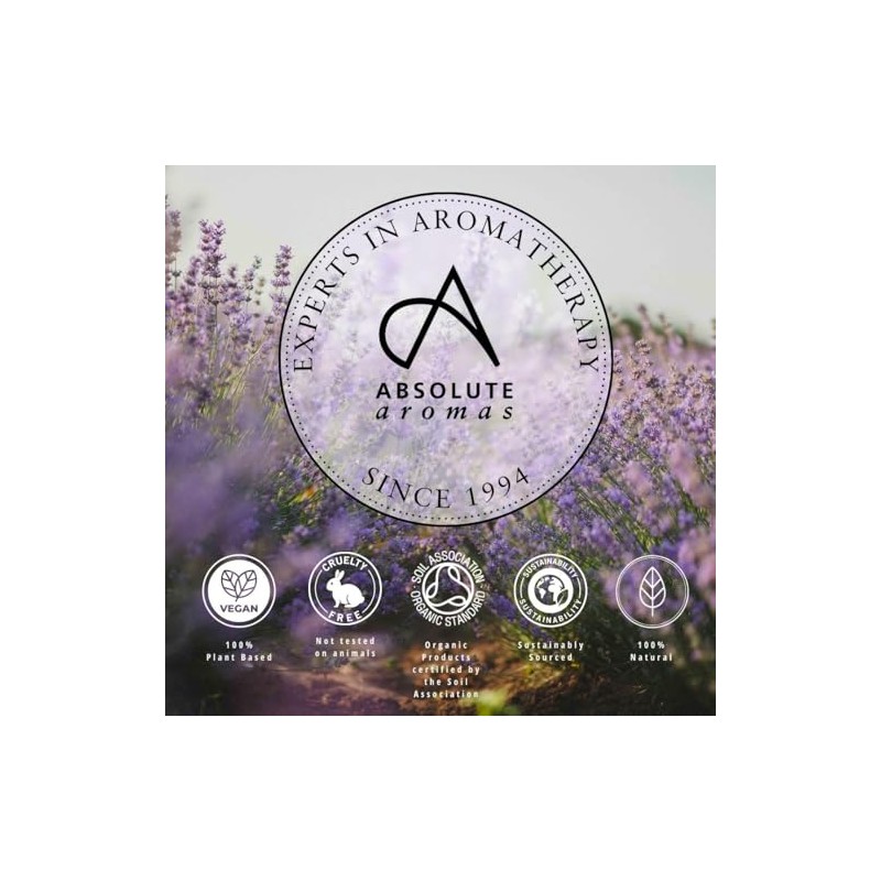 Absolute Aromas Fennel, Sweet (foeniculum valgare VAR Dulce) Essential Oil