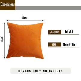 GONOVE Cushion Covers 45x45cm Decorative Modern Throw Pillow Case Pack of 2 Velvet Soft Pillow Cushion Covers Square Orange Pillowcase for Livingroom Sofa Bedroom