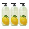 On The Body 온더바디 더내추럴 바디워시 레몬향, 900g, 3개 On The Body The Natural Body Wash Lemon Scent, 900g, 3 Pieces