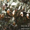 spa hinoki Organic Jojoba Oil